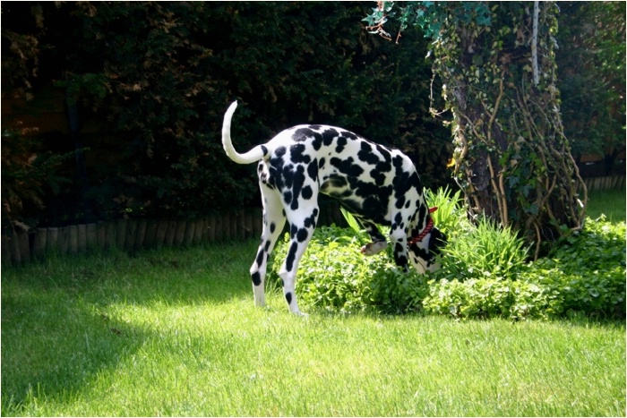 <b>vielleicht hat sie sich da verkrochen?<b>